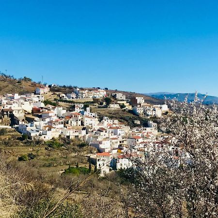 Casa Amigos Sorvilan - La Almendra Esterno foto