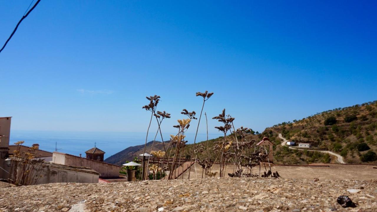 Casa Amigos Sorvilan - La Almendra Esterno foto