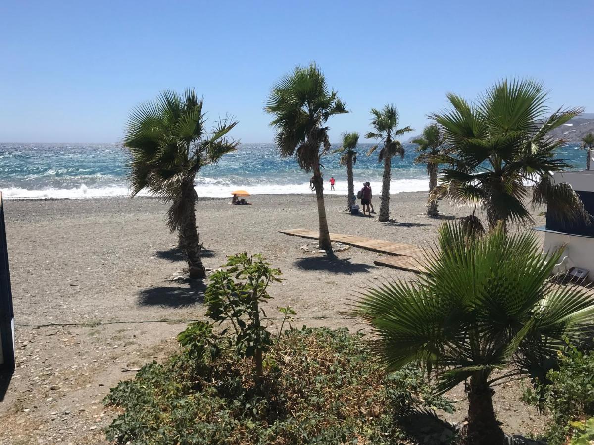 Casa Amigos Sorvilan - La Almendra Esterno foto