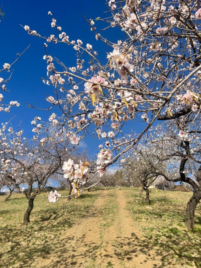 Casa Amigos Sorvilan - La Almendra Esterno foto