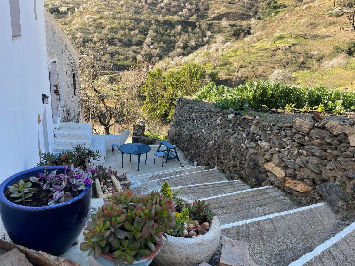 Casa Amigos Sorvilan - La Almendra Esterno foto