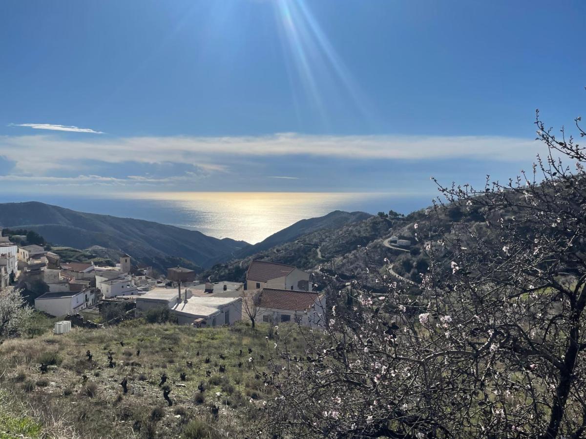 Casa Amigos Sorvilan - La Almendra Esterno foto